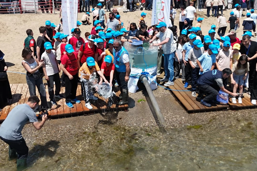 İzmit K&ouml;rfezi&rsquo;ne 100 yapay resif ve 6 bin balık bırakıldı