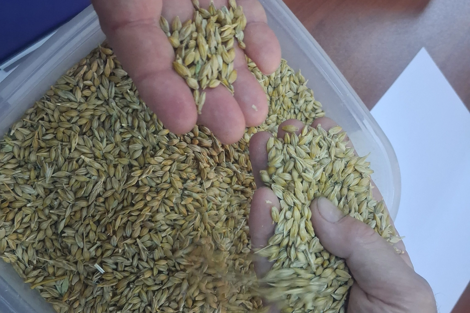 Keşan&rsquo;da ilk arpa hasadı satıldı... İlk &uuml;r&uuml;n 17,50 TL&rsquo;den satıldı