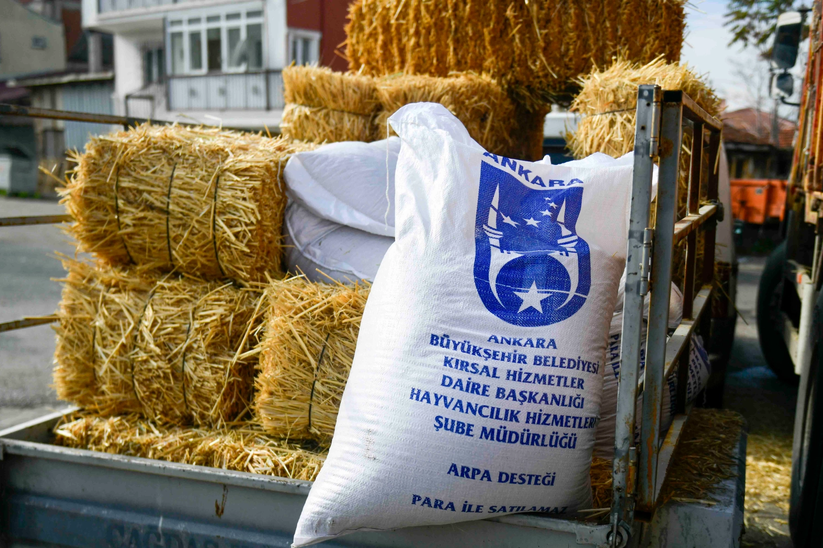 Ankara'da mandacılara yüzde yüz hibeli yem desteği