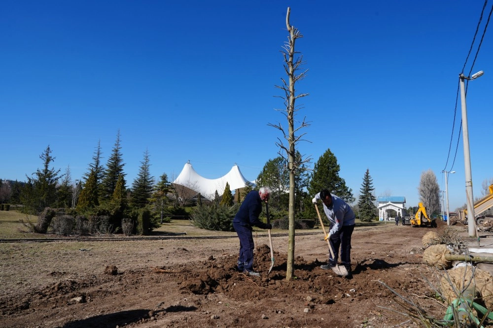 Eskişehir Sazova Parkı&rsquo;nda kavakların yerini &ccedil;ınarlar alıyor