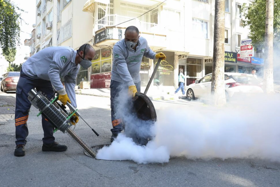 Mersin'de haşere alarmı