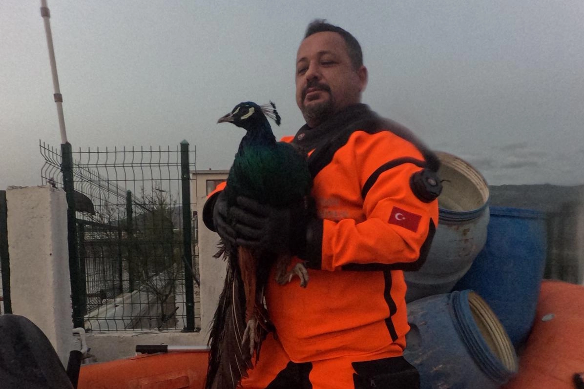 İzmir İtfaiyesi sessiz canlar i&ccedil;in zamanla yarıştı