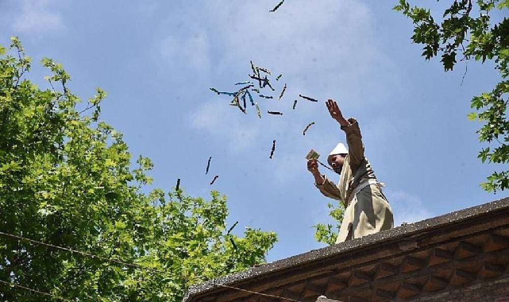 Festival'in Renkleri Fotoğraf Karelerinde Hayat Bulacak
