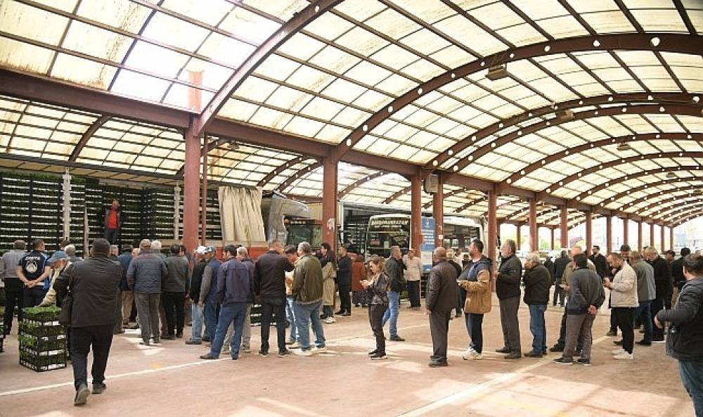 Kahramankazanlı &Ccedil;ift&ccedil;ilere Fide Desteği Verildi