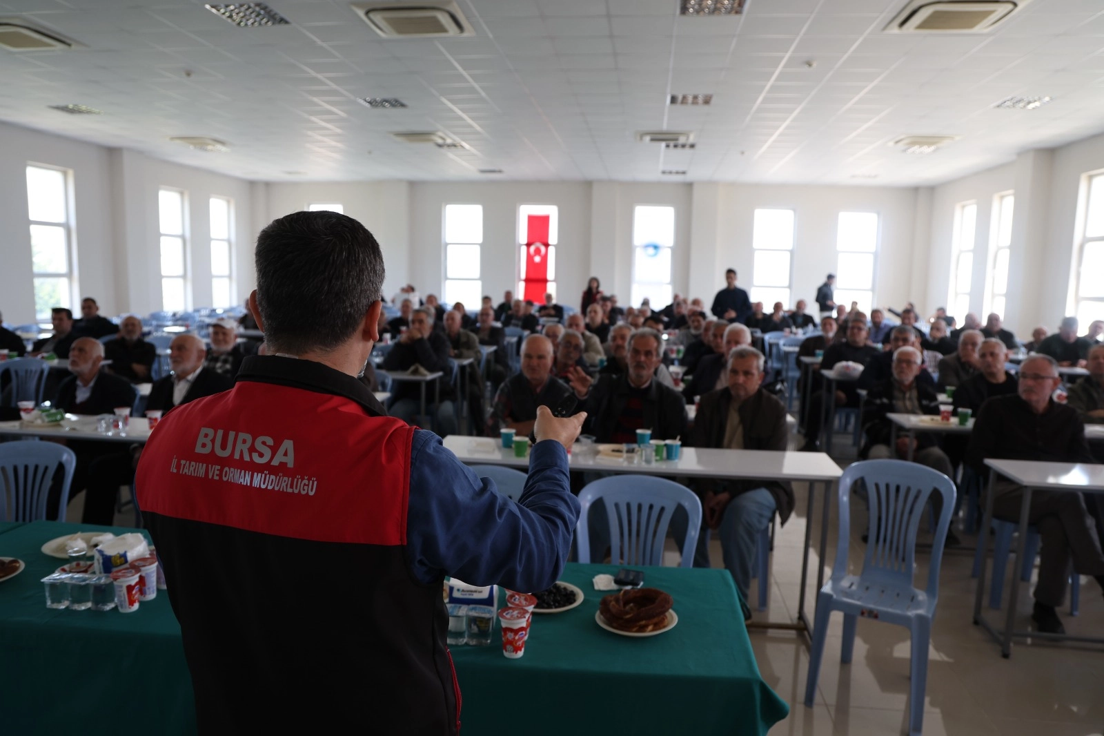 Bursa&rsquo;da zeytinde yeni d&ouml;nem... B-Re&ccedil;ete geliyor