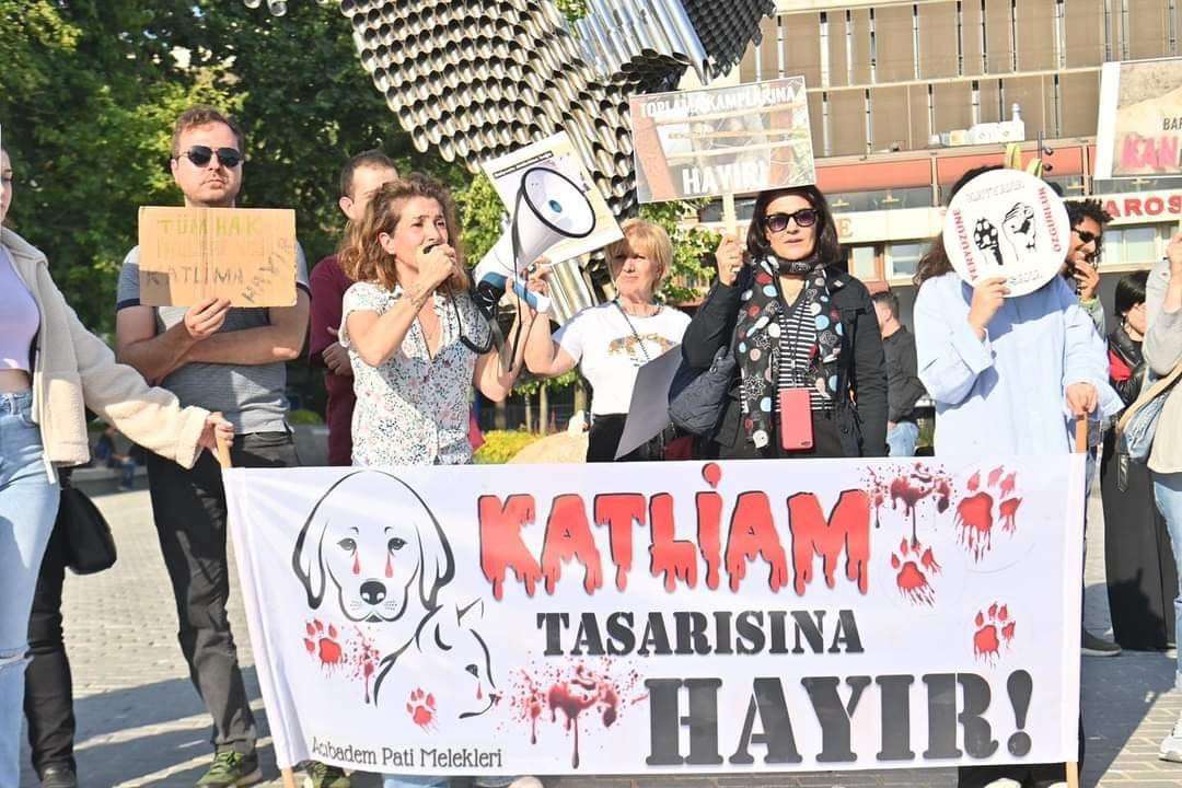 Beyzade Kayabaşı'ndan Katliam Tasarısına Karşı Eylem