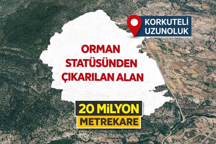 Bir Gecede 20 Milyon Metrekare: Uzunoluk&rsquo;ta Orman Stat&uuml;s&uuml; Değişikliği Tartışma Yarattı