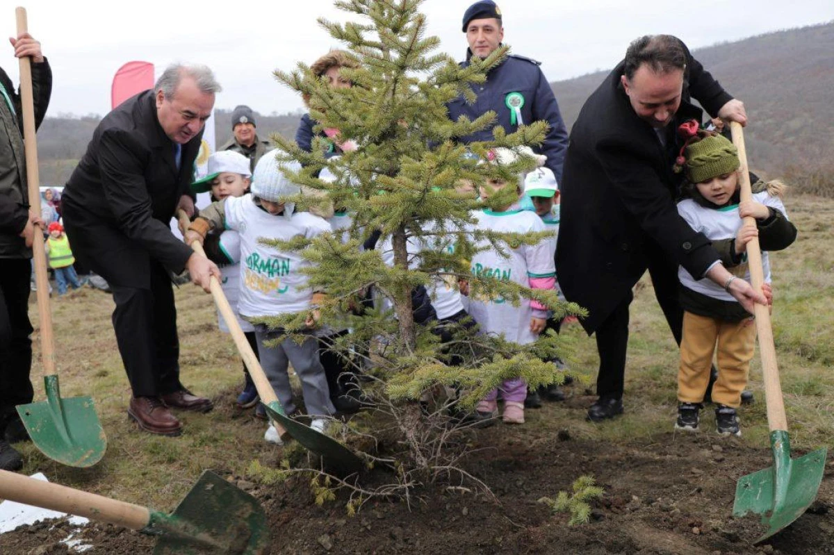 Boz&uuml;y&uuml;k&rsquo;te Geleceğe Nefes: Fidanlar Umut Oldu