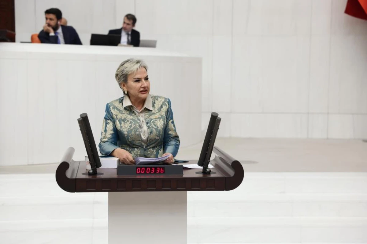 CHP'den Hayvanları Koruma Kanunu'na Alternatif Teklif:   “Yaşam Hakkı İçin Direneceğiz”