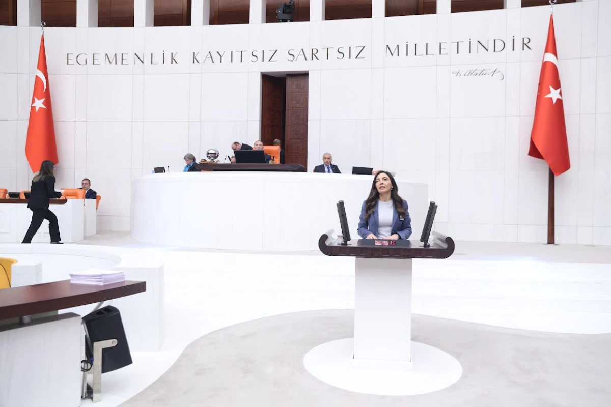 CHP'li Altaca Kayışoğlu&rsquo;ndan H&uuml;k&uuml;mete 'Gurbet&ccedil;i' &Ccedil;ağrısı: "8 Bin Euro Gen&ccedil;leri Vatandaşlıktan Koparıyor"