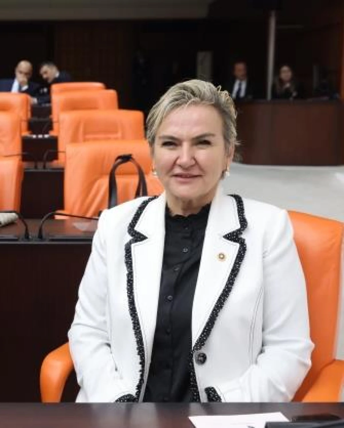 CHP'li Nimet Özdemir’den Adalet Bakanı’na 14 Soru 