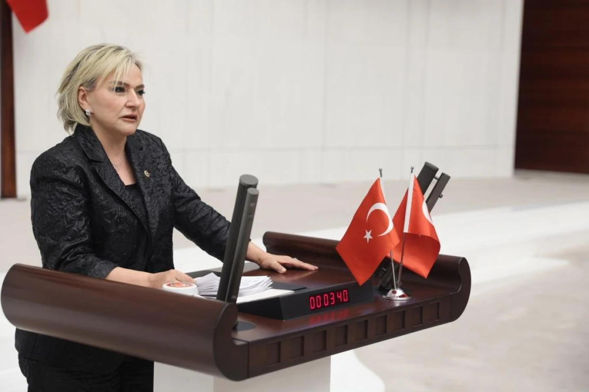 CHP&rsquo;li Nimet &Ouml;zdemir&rsquo;den TBMM&rsquo;de sert &ccedil;ıkış: &ldquo;T&uuml;rkiye şiddet sarmalına s&uuml;r&uuml;kleniyor&rdquo;