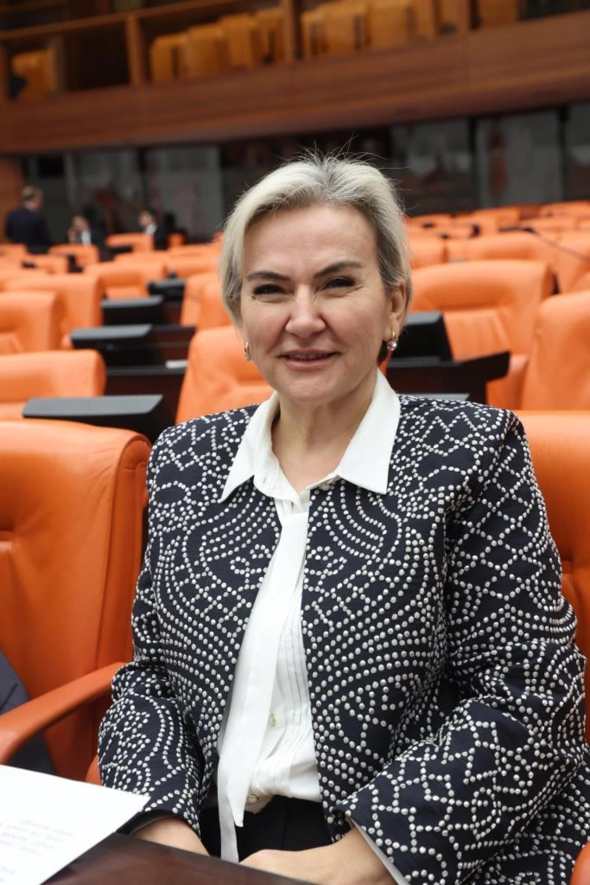 CHP&rsquo;li &Ouml;zdemir: 11 İlde &Ccedil;ocuk İzlem Merkezi Yok, &Ccedil;ocuklar İkincil Travmaya A&ccedil;ık