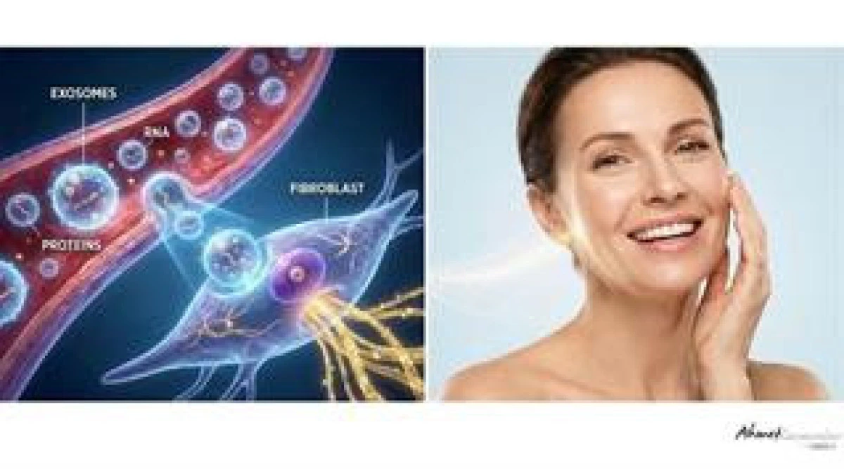 Eksozomlar Rejeneratif Tıpta Yeni Bir D&ouml;nem A&ccedil;ıyor