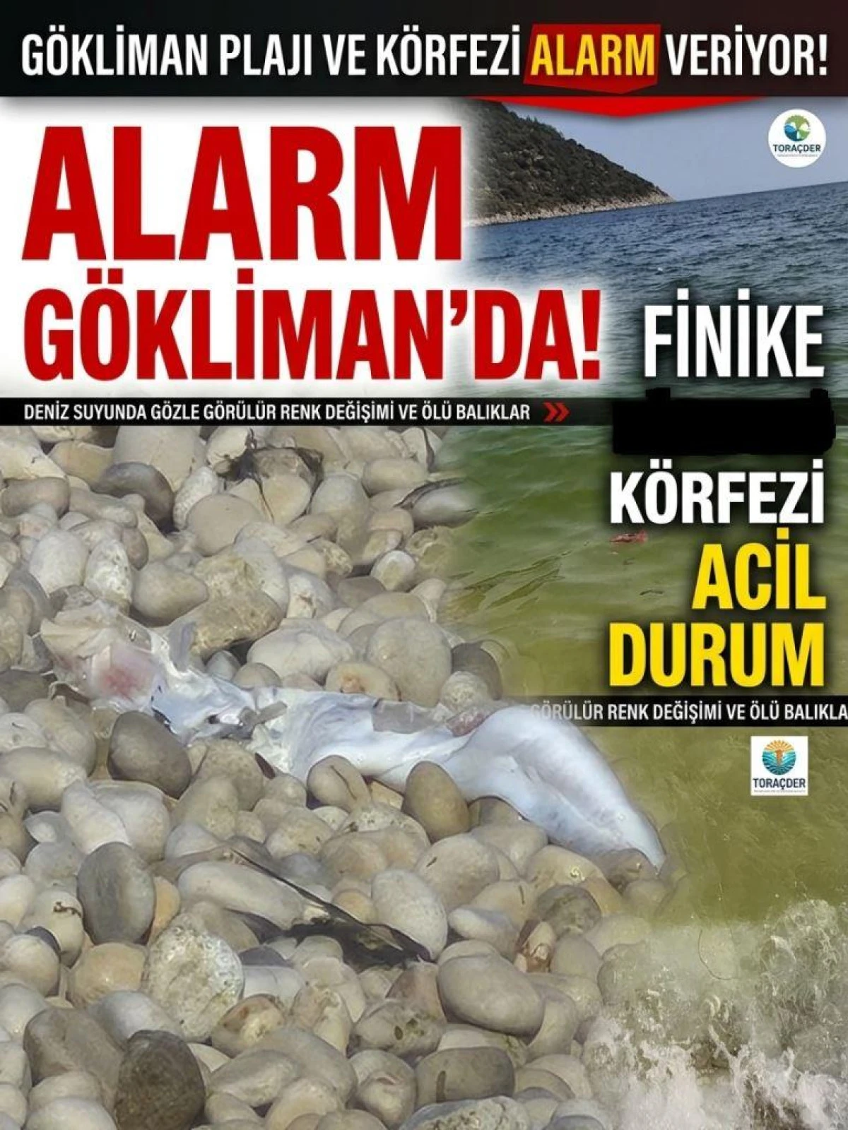 FİNİKE G&Ouml;KLİMAN&rsquo;DA &Ccedil;EVRE ALARMI! DENİZDE RENK DEĞİŞİMİ VE &Ouml;L&Uuml; BALIKLAR ENDİŞE YARATTI