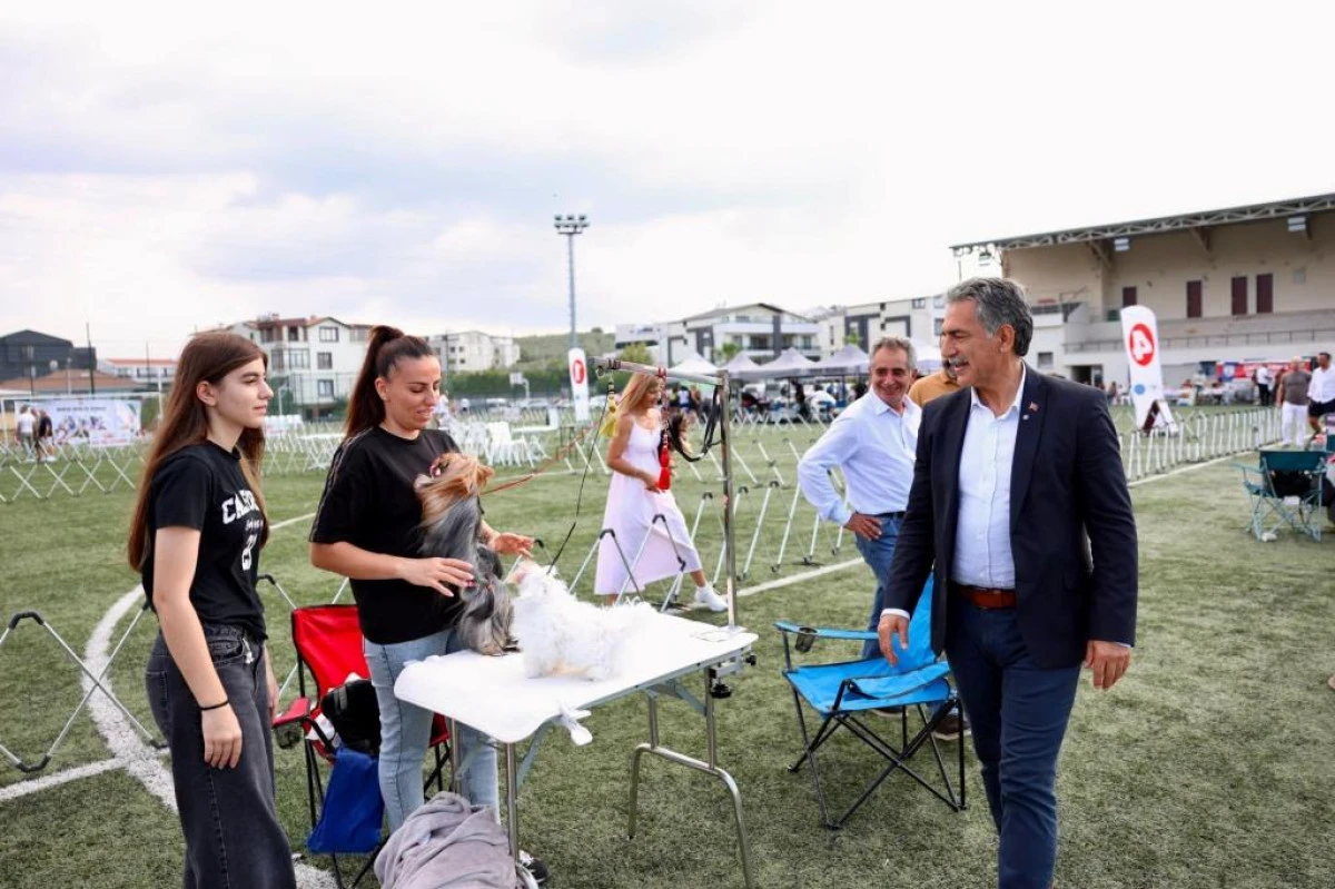 Gemlik, Patili Dostların Renkli Buluşmasına Ev Sahipliği Yaptı
