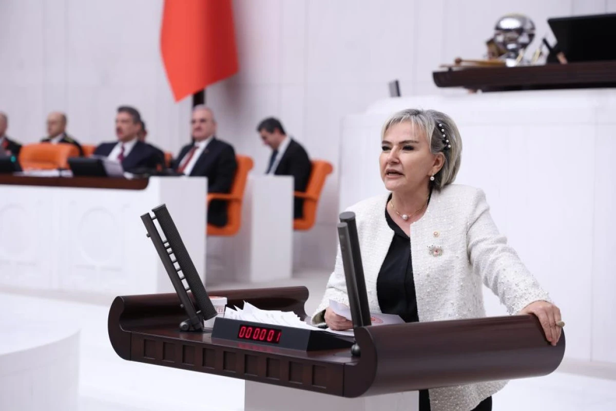 &Ouml;zdemir'den Trafik Cezaları G&ouml;r&uuml;ş&uuml;l&uuml;rken Vicdan Vurgusu: &ldquo;Sorun B&uuml;t&ccedil;ede Değil, Vicdanda&rdquo; VİDEOLU HABER