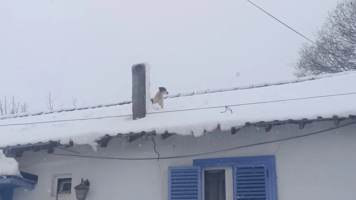 Pazaryeri&rsquo;nde Y&uuml;rekleri Isıtan Kurtarma Operasyonu