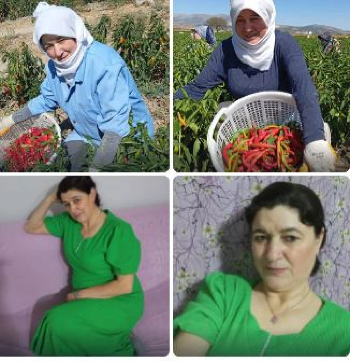 Tarladan Sinemaya Uzanan Yol: Uşaklı Y&ouml;r&uuml;k Sultan Beyaz Perde Yolunda