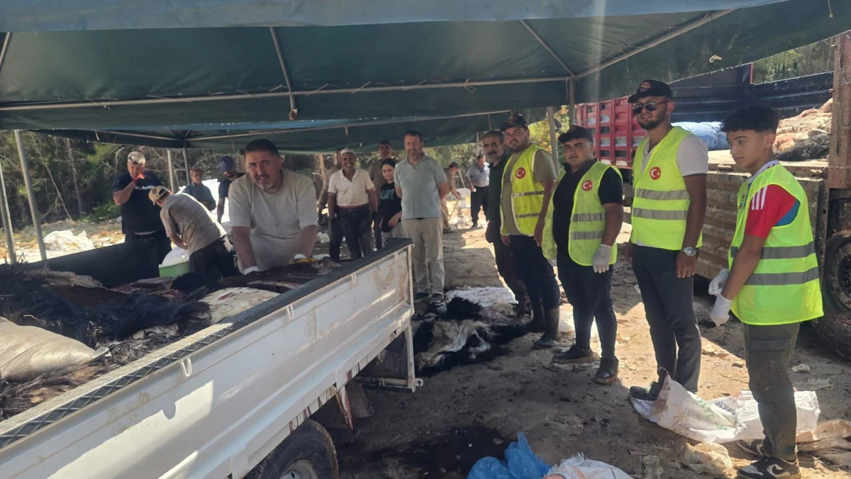 THK Alanya&rsquo;dan B&uuml;y&uuml;k Başarı: 2 G&uuml;nde 3 Bin 200 Kurban Derisi Toplandı!