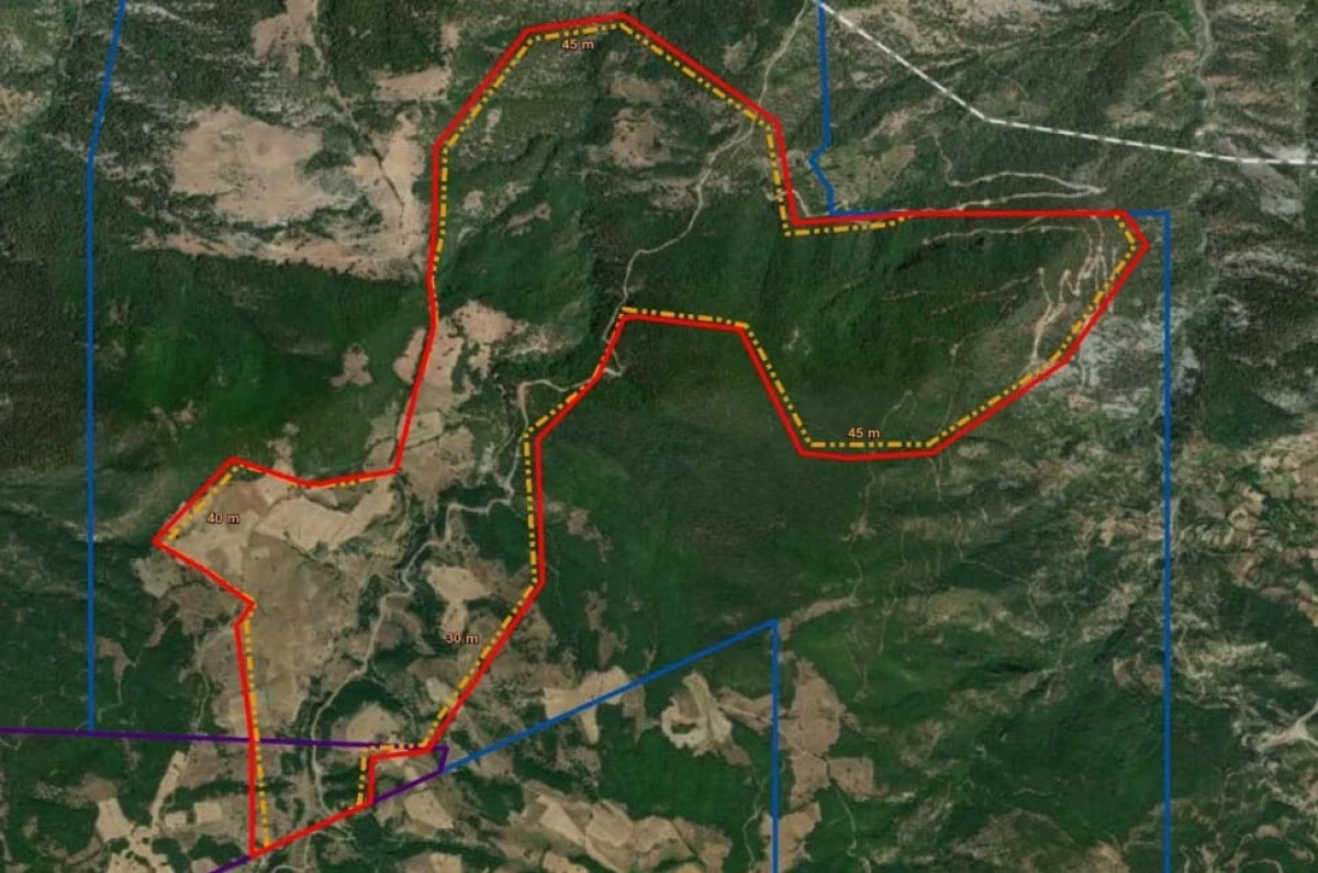 Zafer Partili Aslan’dan Eskişehir’de Ormanların Talana Açılmasına Tepki: AKP’nin Rant Politikalarına Bir Yenisi Daha Eklendi